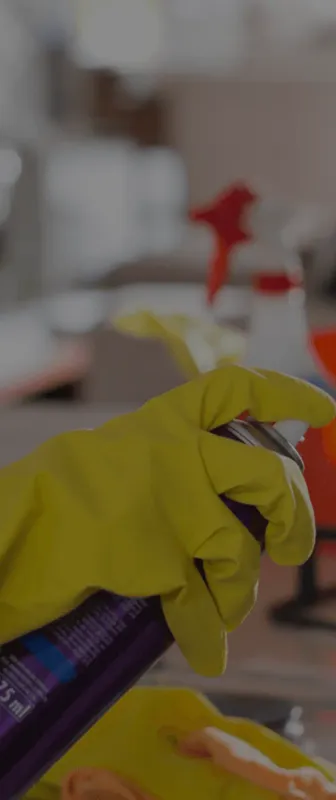 Cleaners Available in Washoe Valley